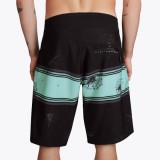 Mystic shortsid Flux Boardshorts Seasalt Green