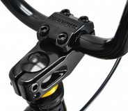 BMX jalgratas Mafia Kush 2+ 20" Freestyle Black/Gold