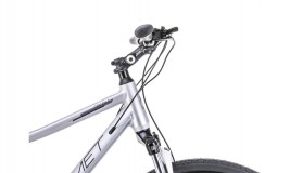 Jalgratas Romet Orkan 4 D 28" silver violet