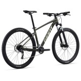 Bicycle GIANT Talon 29 2 Phantom green