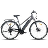 Electric Bicycle TOTEM XC920 28" Grey
