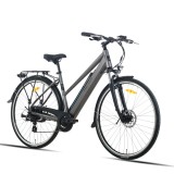 Electric Bicycle TOTEM XC920 28" Grey